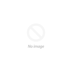 Persevering transitional structure